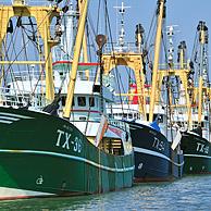 Trawler fishing boats in the harbour of Oudeschild, Texel, the Netherlands